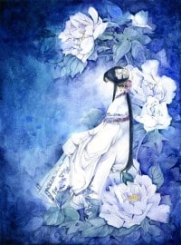 南詔唐妃